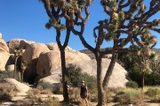 14-Joshua Tree National Park